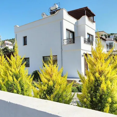 Arslan Villa *